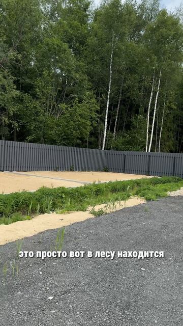 Дома в окружении леса