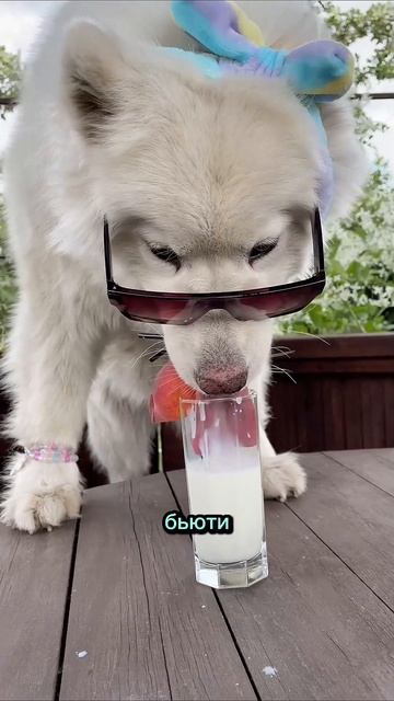 девочка 🌸🤍