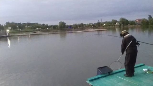 WhatsApp Video 2025-06-16 at 03.18.05