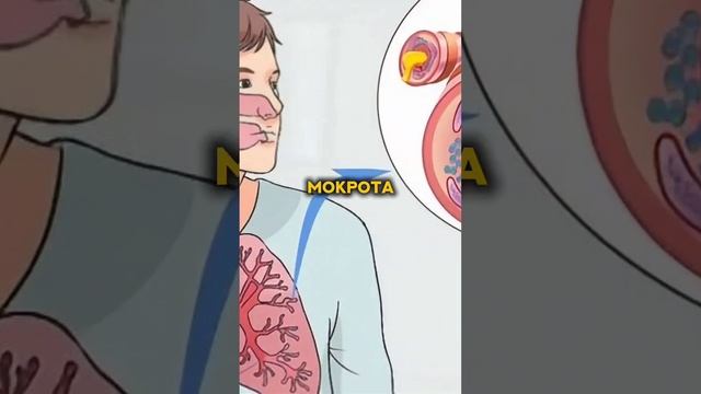 как очистить легкие? #курениеубивает  #рецепт #зож #похудение #пп #нутрициолог #стресс #потерявеса