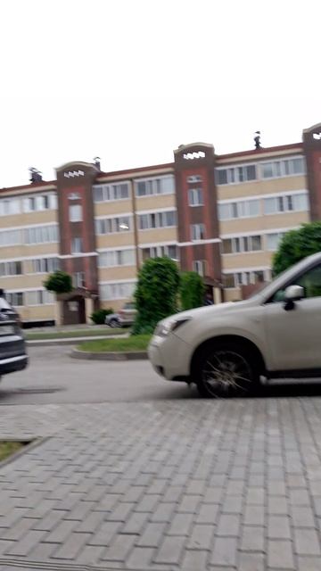 я просто в шоке