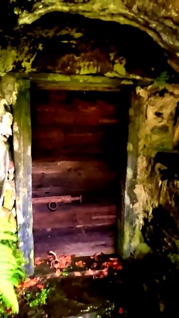 Камера поймала на удивление крутой момент