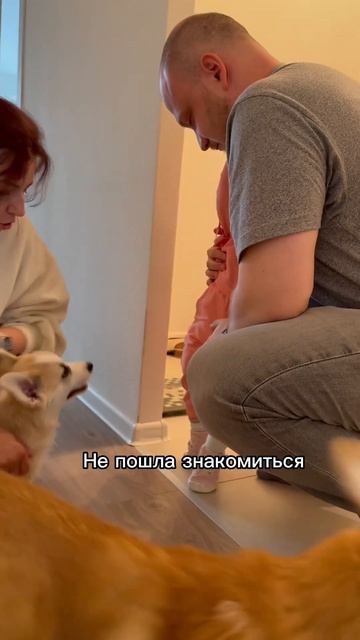 Долгожданное пополнение!