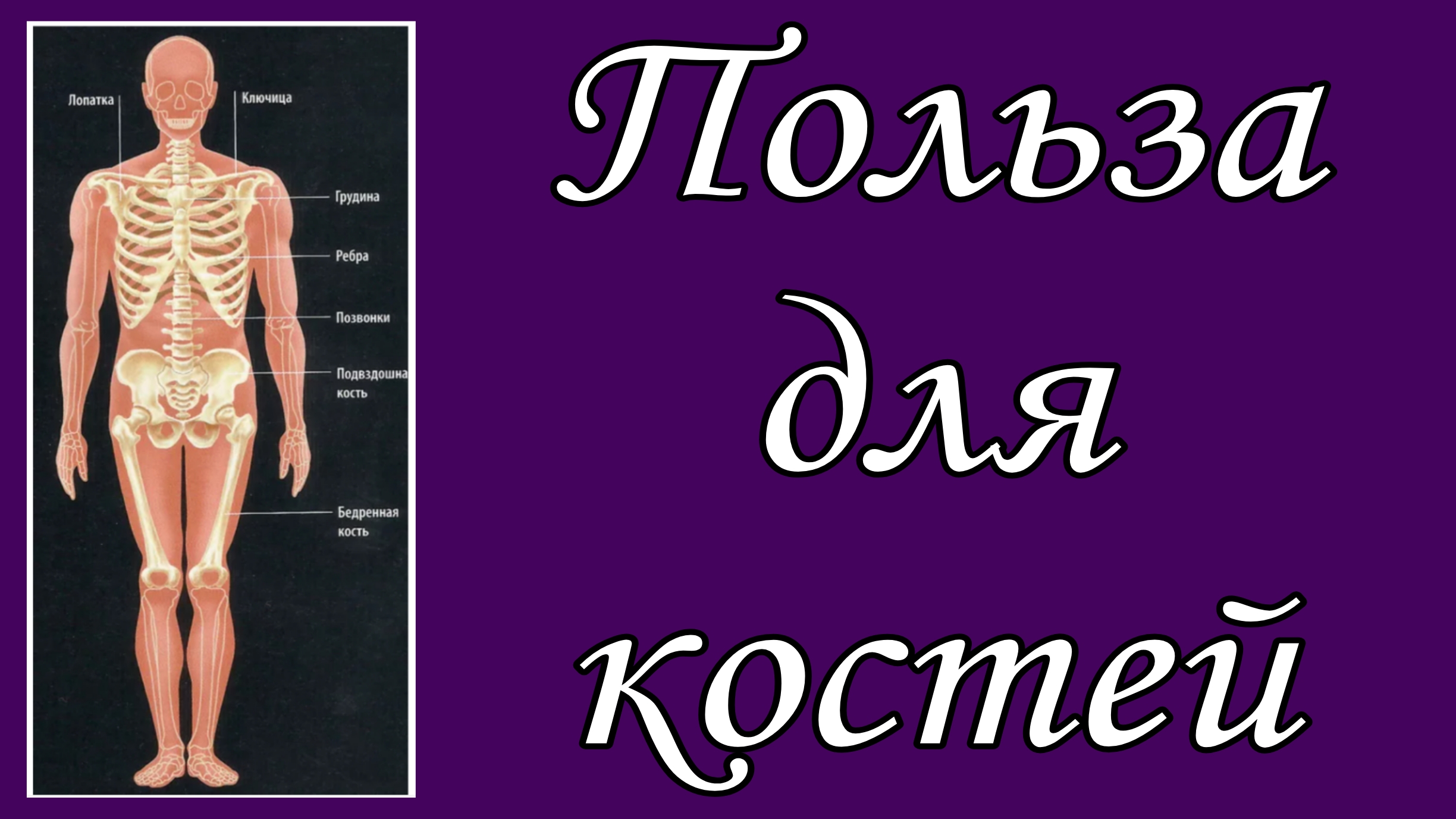 Польза для костей 📝