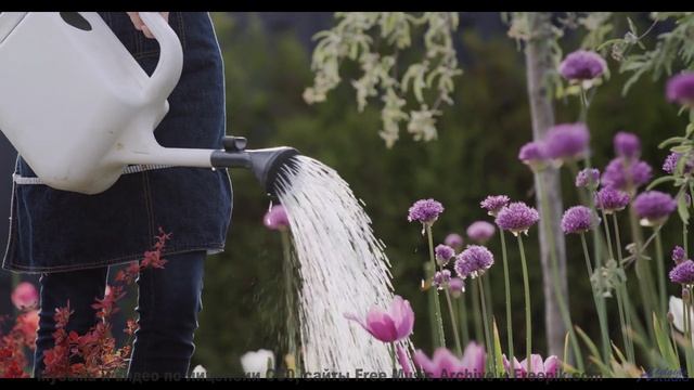 Ты НЕ ГОТОВ к такому звуку! - Walk in the Park -- Small Tall Order -- Easily