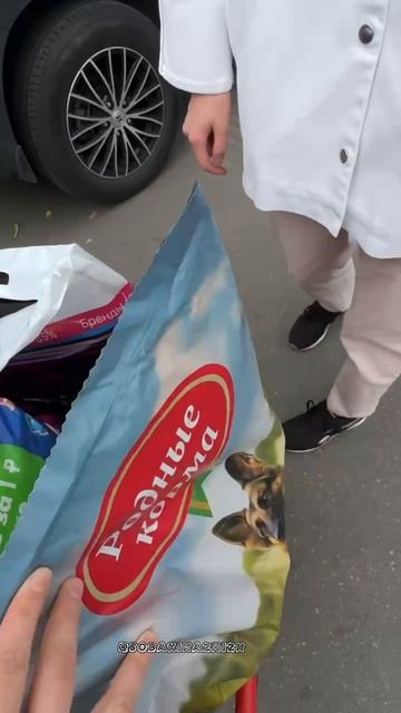 Спасибо за помощь приюту