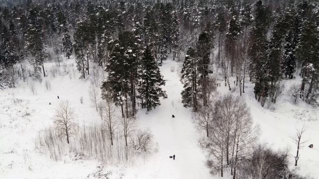 Старый бор зима