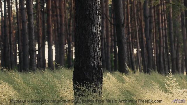 Включите этот трек - и каждый километр станет историей вашей любви - Fireclub -- Ketsa -- Through to