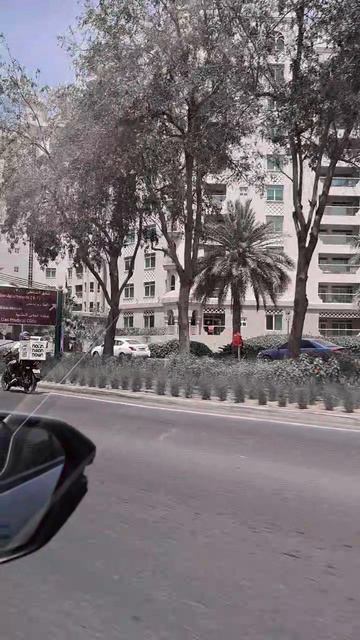 Пальма Джумейра