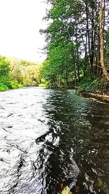 Серена
