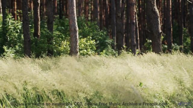 Ты не сможешь забыть его, даже если захочешь! - ActorActress -- Fascinations Grand Chorus -- Live at