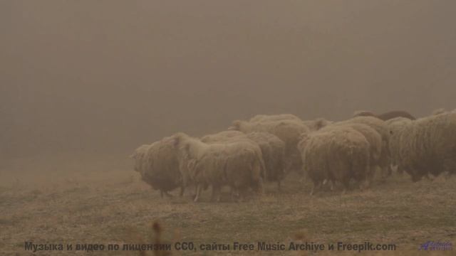 Закат, море и мелодия, от которой тает сердце! - DJ Millenium -- New Millennium String Band -- NMSB