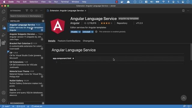 076 Adding VS Code extensions for Angular