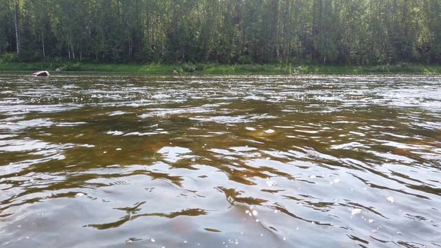 Вишера. Прозрачность (4К)