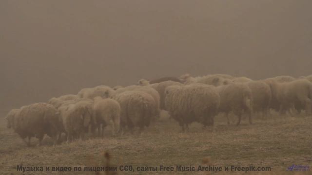 Хочется бежать по полям под этот невероятный саунд - LIE -- Taylor Poe -- Quiet Sound of Disappearin