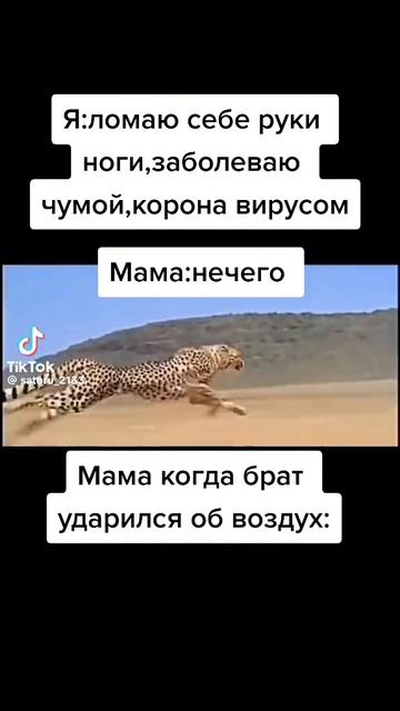 MEME真的嗎v10044g50000c83on4jc77u1c166r2j0