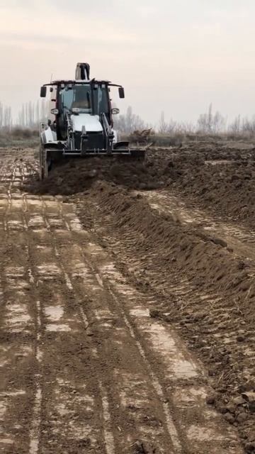 Почти Бульдог)
