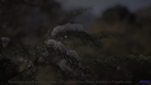 Здесь обитает НЕЧТО древнее. - Departed Jewels of the Preeminent Antiquated Firmaments -- Julia Feli