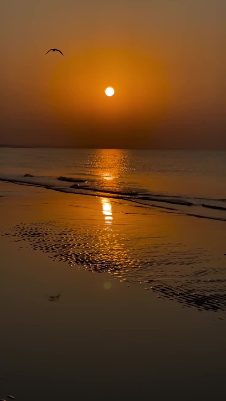 #вода #закат