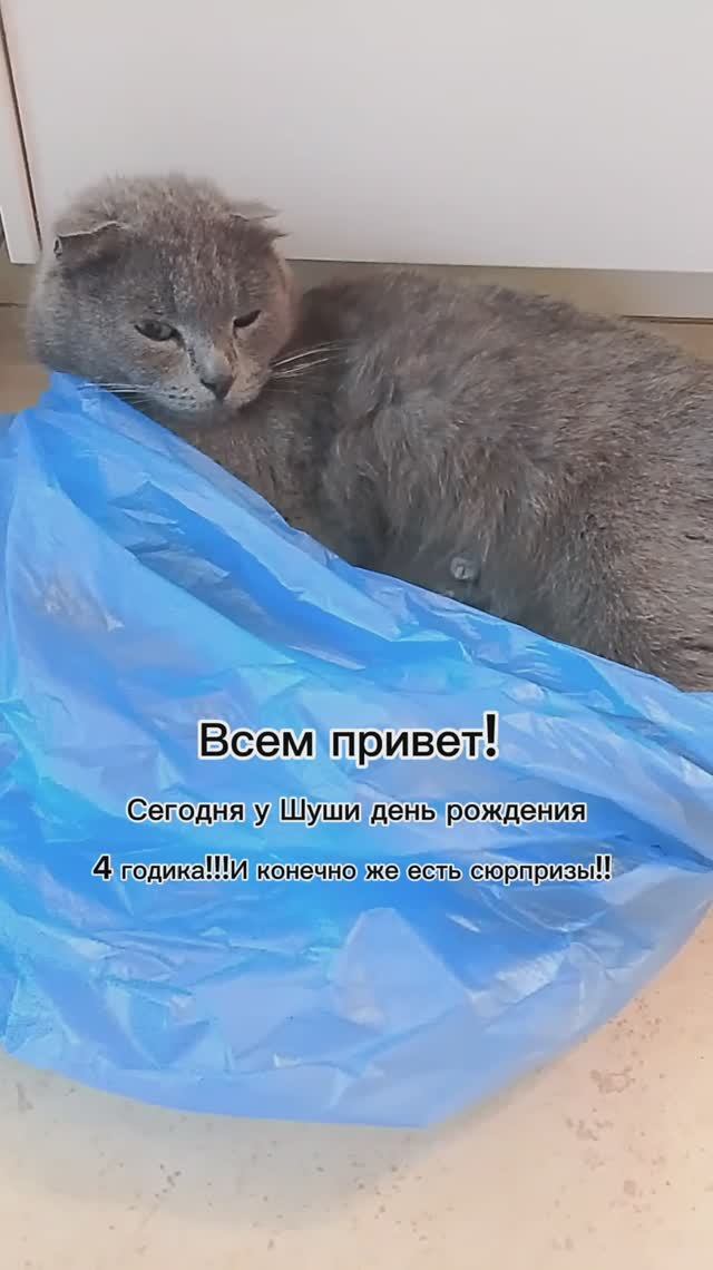 С ДНЁМ РОЖДЕНИЯ ШУША!!!! ❤🔥🥳🎂