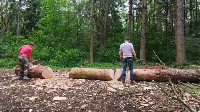 15.06.25 ПАРУБАС # 44 (ФЕДОР, АЛЕКСАНДР, ИННА, АЛЕКСАНДР, АЛЕКСЕЙ)