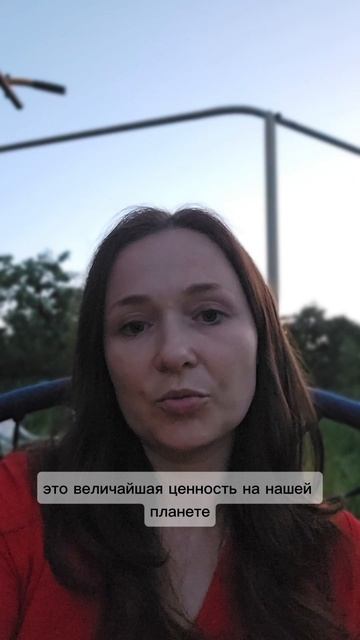 Тренд : спасаем чужого ребёнка или своего питомца