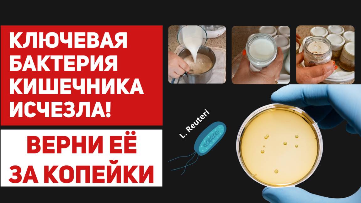Могущественный пробиотик для запуска омоложения - готовим сами самый полезный йогурт