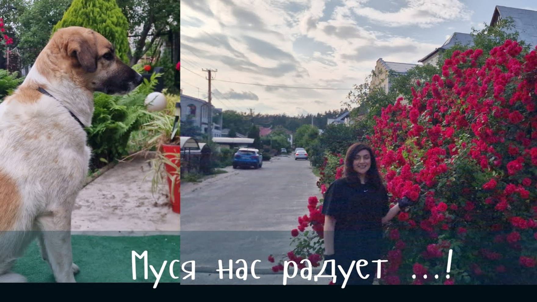 Гарик и Керри- Подскажите что это Выросло? Кери с сапкой - Муся нас радует
