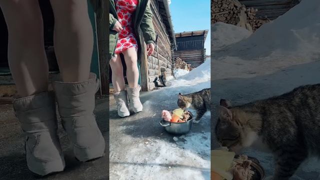 Моя живность #уралочка #уральскаядевушка #живность