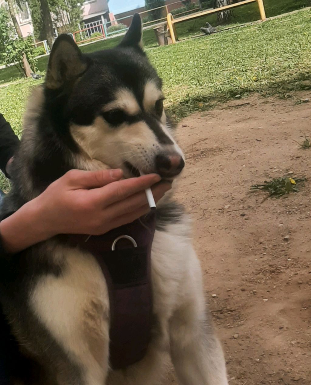 прохожу майн на серве стрим