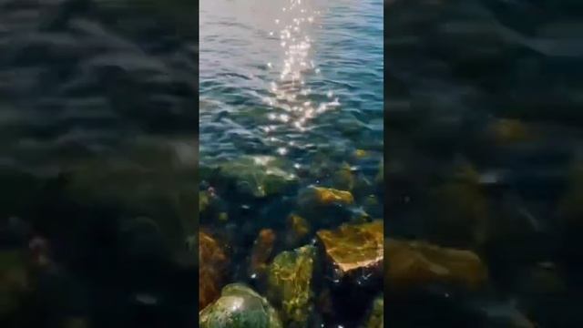 VID-20250615-WA0291