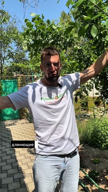 Когда делать обрезку летом