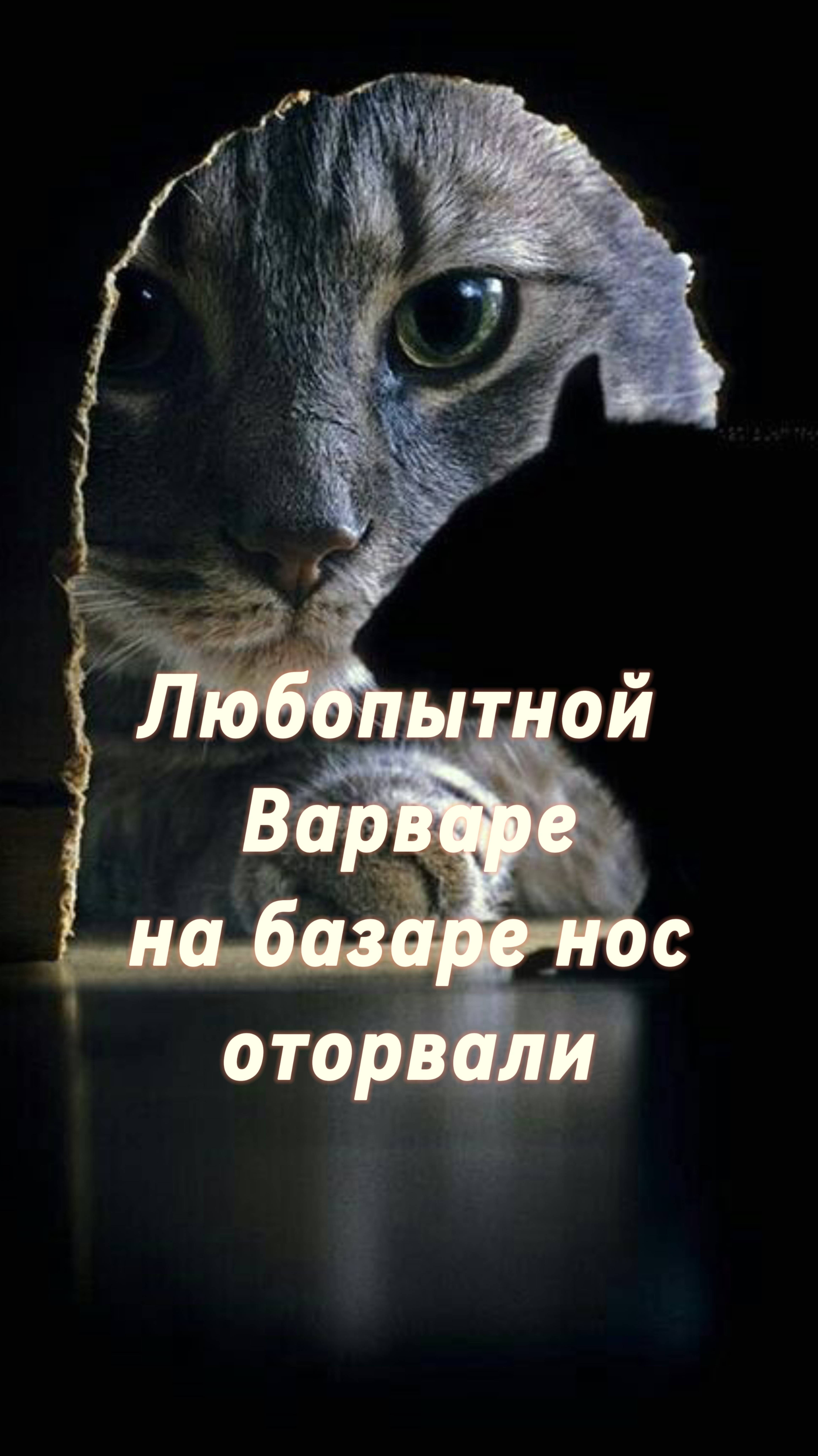 Любопытной Варваре на базаре нос оторвали