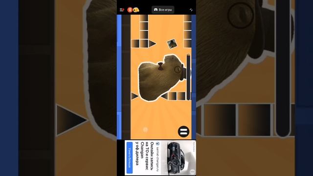 SVID_20250616_133408_1.mp4