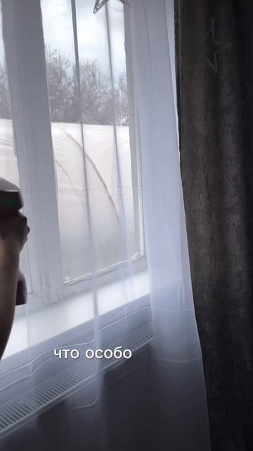 Тюль "Вуаль" 400х240 см, арт: 237427732 Wildberries