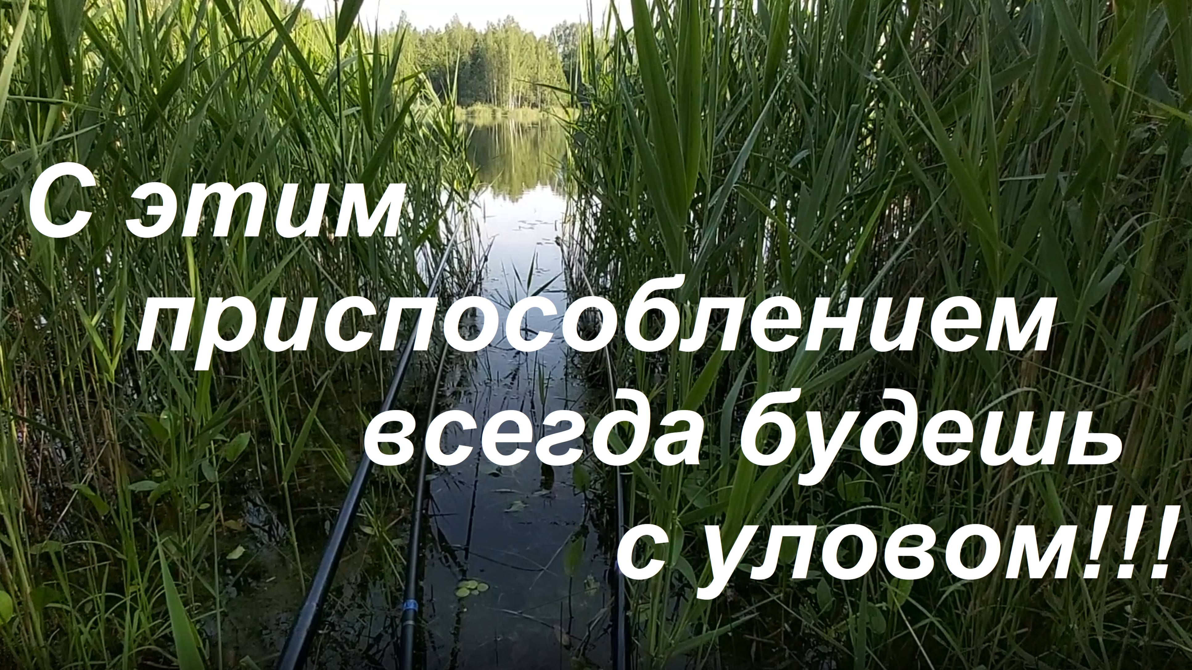Новинка!!! Приспособление для ловли мирной и хищной рыбы.
