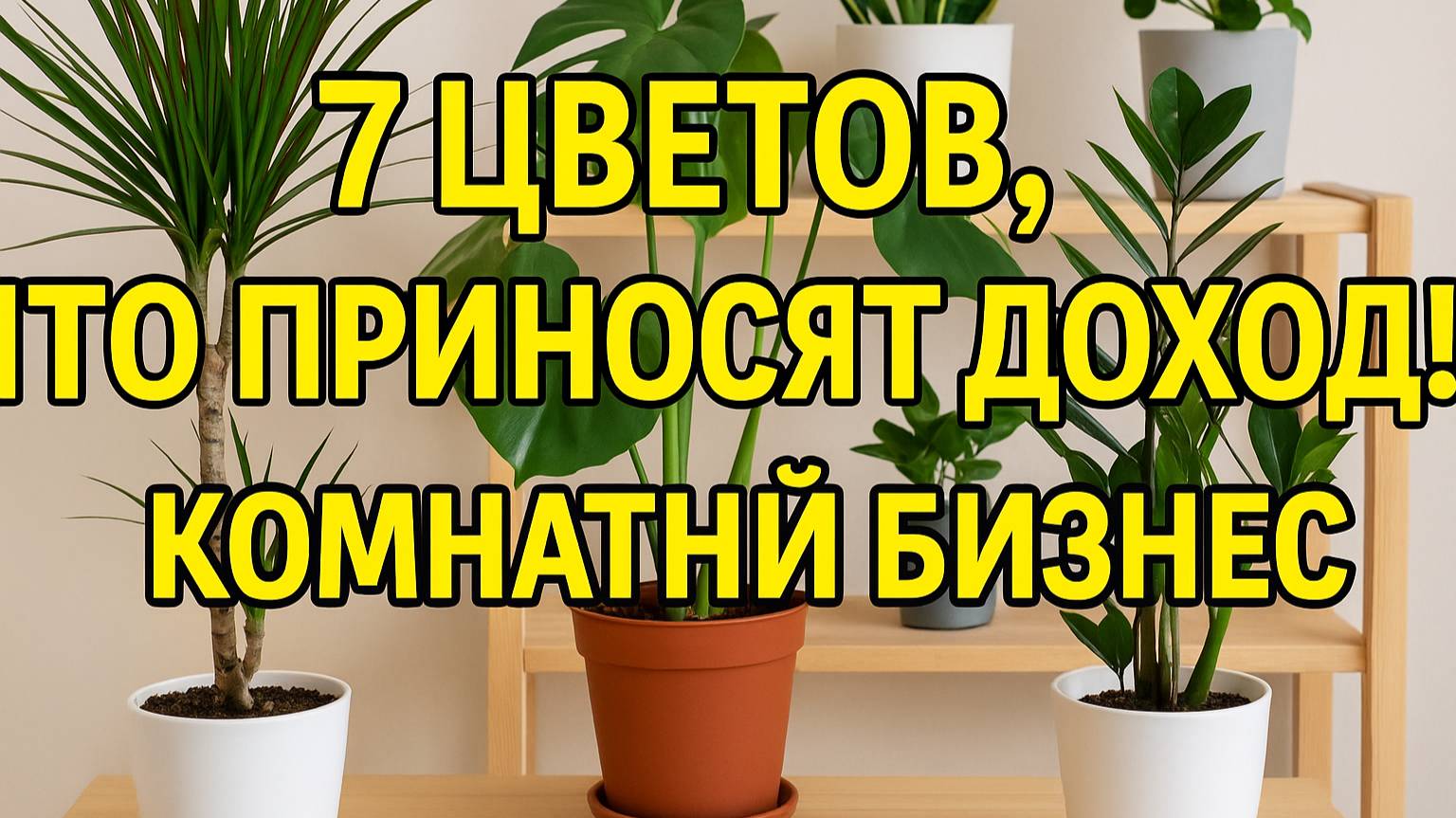 7 комнатных цветов, которые приносят доход! Как начать зарабатывать дома