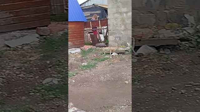 Саня