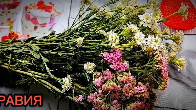 Нашим мамам и  любимым девчатам.mp4