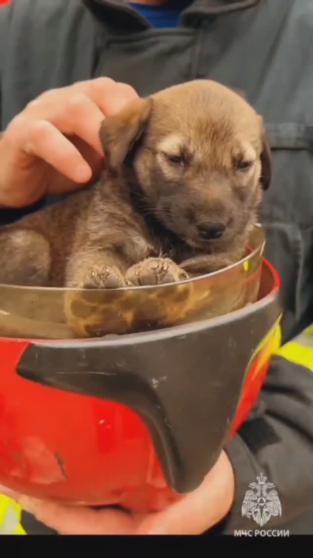 Обычно помощи просят у нас и мы спешим