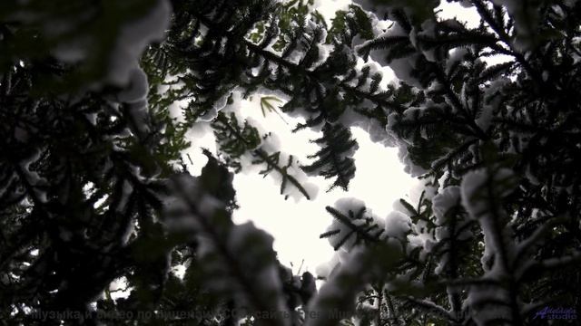 Звуки, от которых сосед перестанет сверлить стену! - Babies First Hallucination -- HoliznaCC0 -- THE
