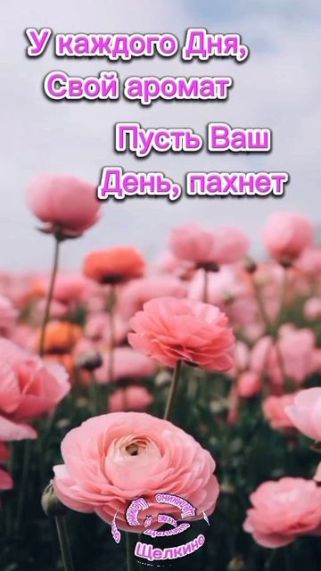 Хорошего дня. ВидеоОткрытка