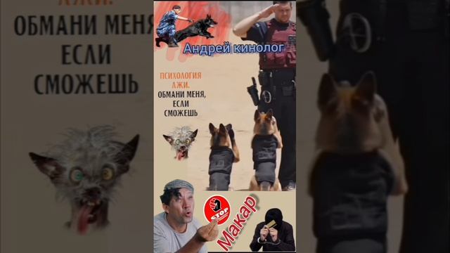 Макар телят на заработки погнал .