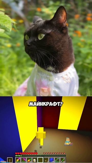 А вы верите в монстров?🙀😹