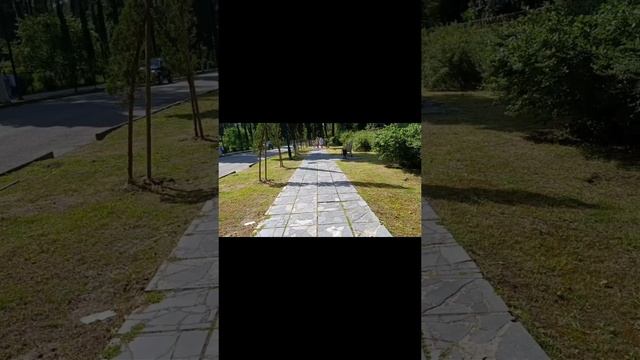 Абхазия Пицунда прогулка