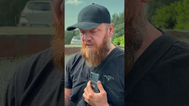 Для почек что попить