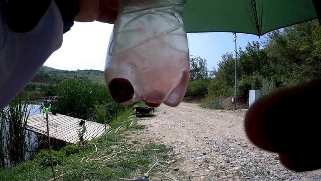 Здесь водятся амуры, карпы и караси. Рыбалка на Утином озере в июне.