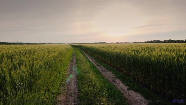 Этот трек ВЗОРВАЛ интернет - смотри ДО КОНЦА! - Rebel -- Mise Darling -- Rebel