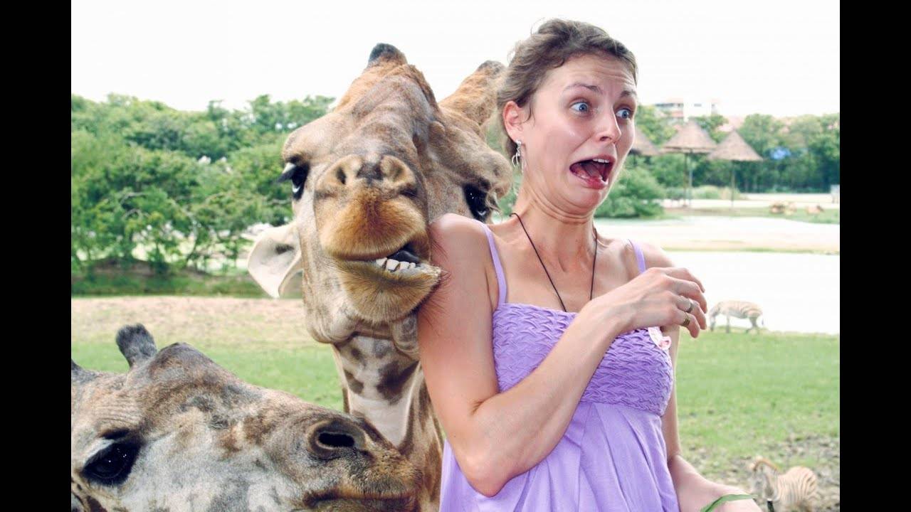 #28 😆😆😆ТОПОВЫЕ СМЕШНЫЕ МОМЕНТЫ С ЖИВОТНЫМИ / ПОПРОБУЙ НЕ ЗАСМЕЯТЬСЯ😆😆😆