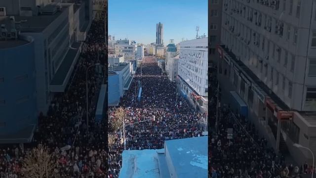 Соборная мечеть Москвы , Зорский Илья